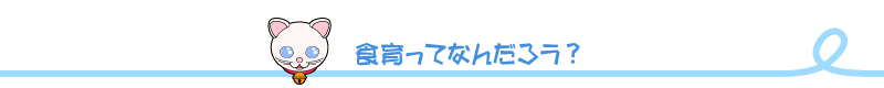 食育ってなんだろう?